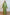 ABAYA FAYHA GREEN
